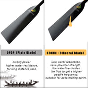 ZJ IDBF Approved Dragon Boat Paddle Dihedral Blade (STORM)